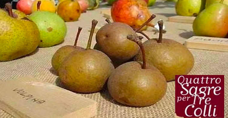 Sagra della Pera Volpina e del Formaggio stagionato